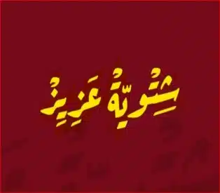 شتوية عزيز Logo